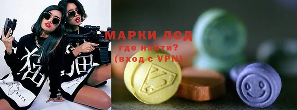 дживик Новозыбков