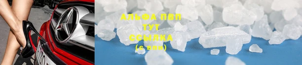 МДПВ Долгопрудный