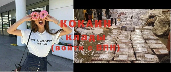 мдма Новодвинск
