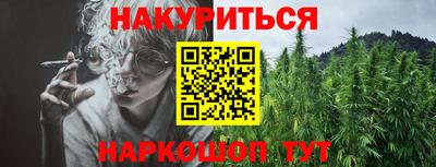 прущие грибы Камышлов