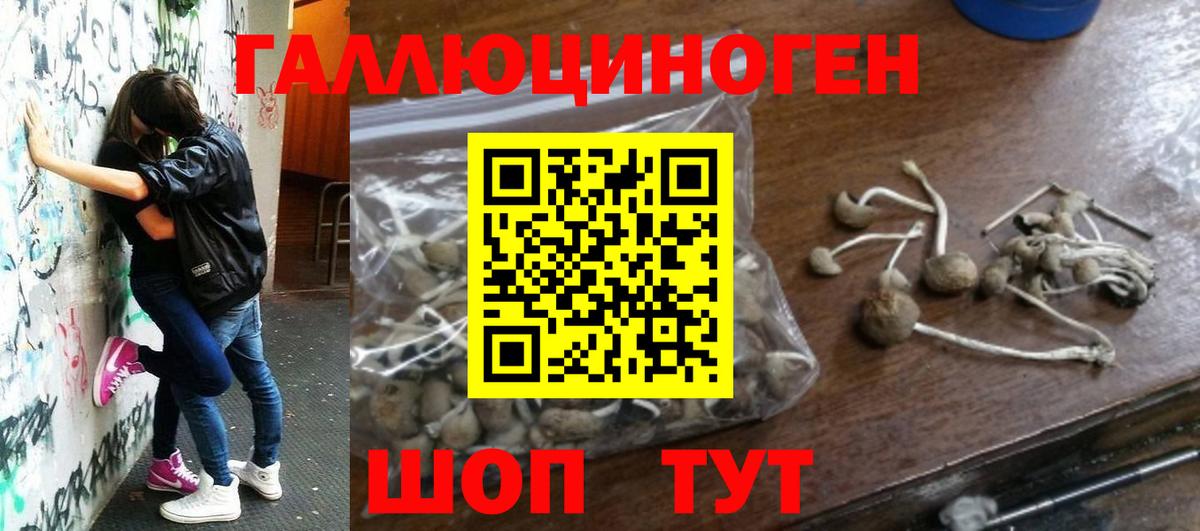 Галлюциногенные грибы Magic Shrooms  Вход с VPN  Симферополь 