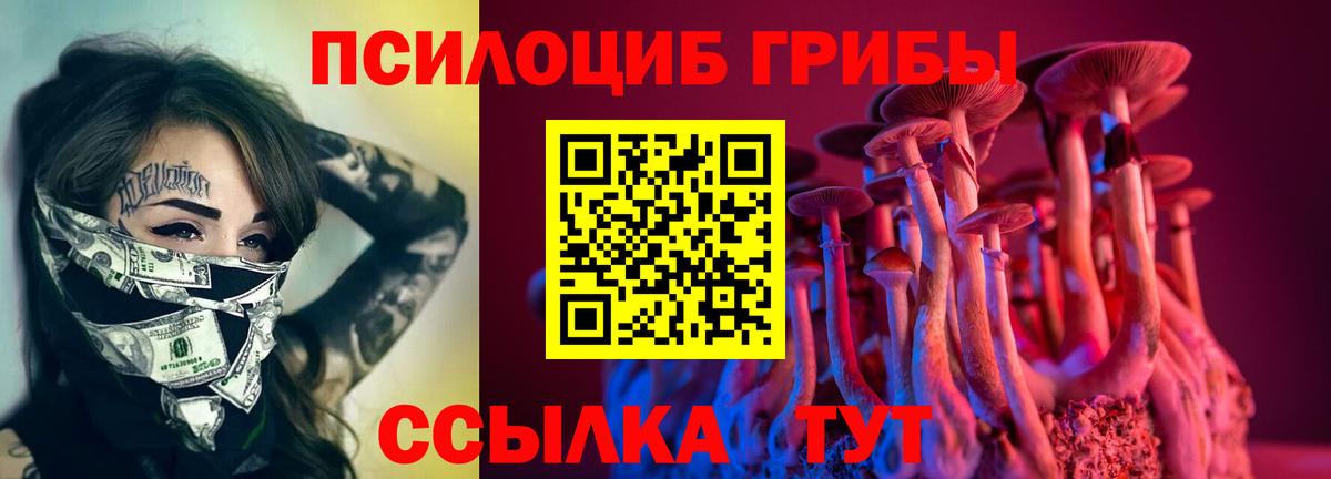 Галлюциногенные грибы Psilocybine cubensis Симферополь